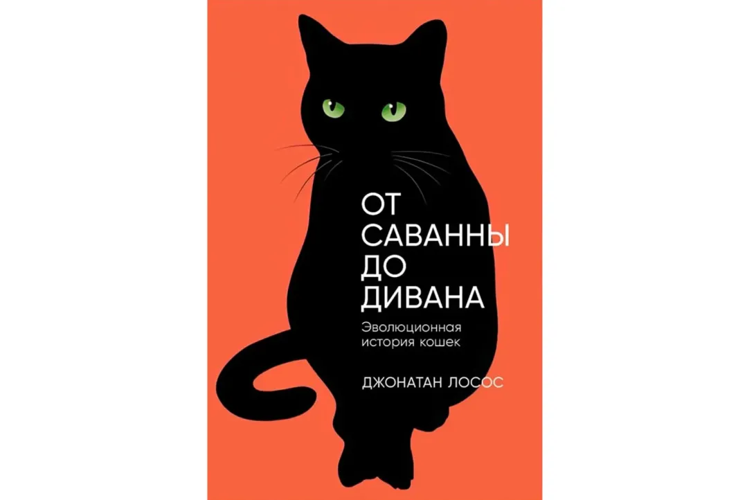 От саванны до дивана